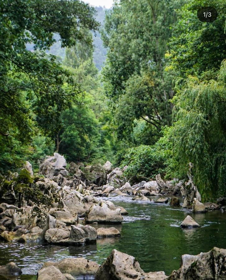 Hdec Hosteria De Castaneda Alojamiento Turistico ปวนเตเวียสโก ภายนอก รูปภาพ