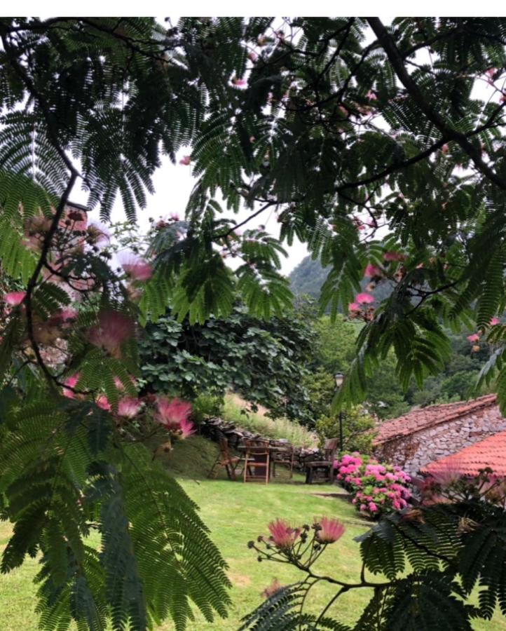 Hdec Hosteria De Castaneda Alojamiento Turistico ปวนเตเวียสโก ภายนอก รูปภาพ
