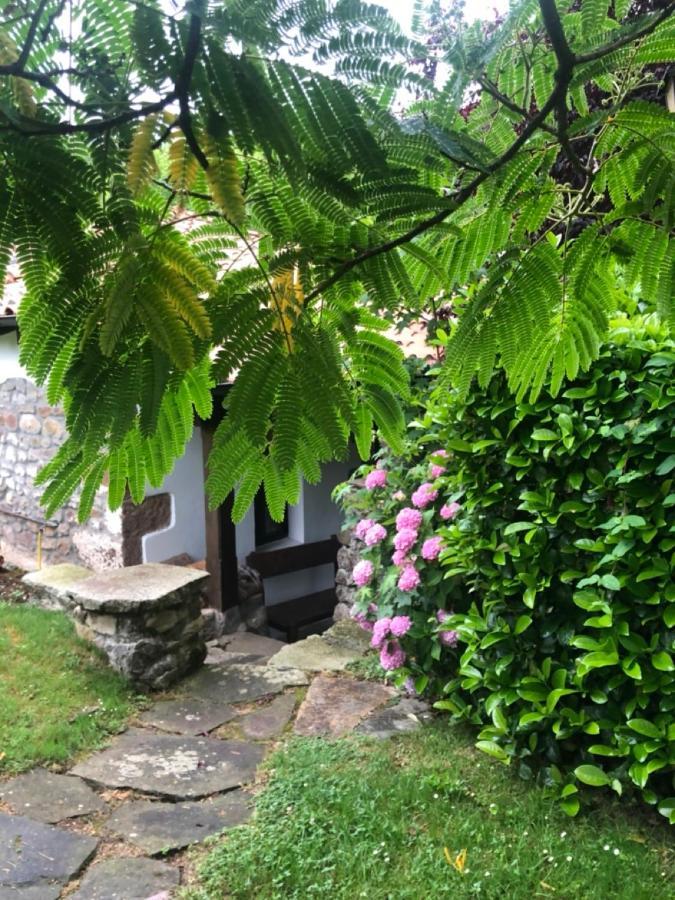 Hdec Hosteria De Castaneda Alojamiento Turistico ปวนเตเวียสโก ภายนอก รูปภาพ