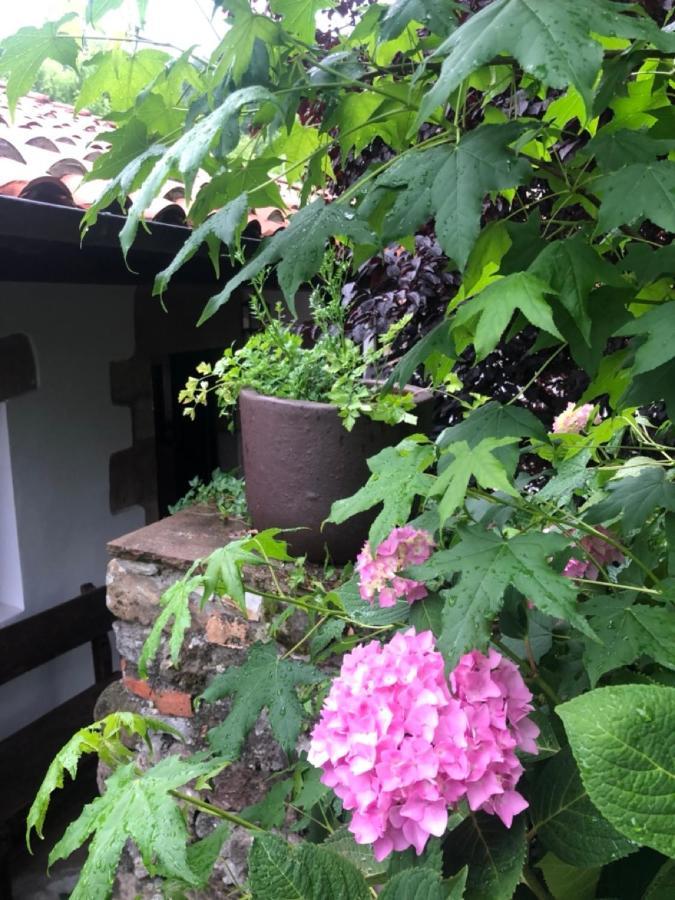 Hdec Hosteria De Castaneda Alojamiento Turistico ปวนเตเวียสโก ภายนอก รูปภาพ