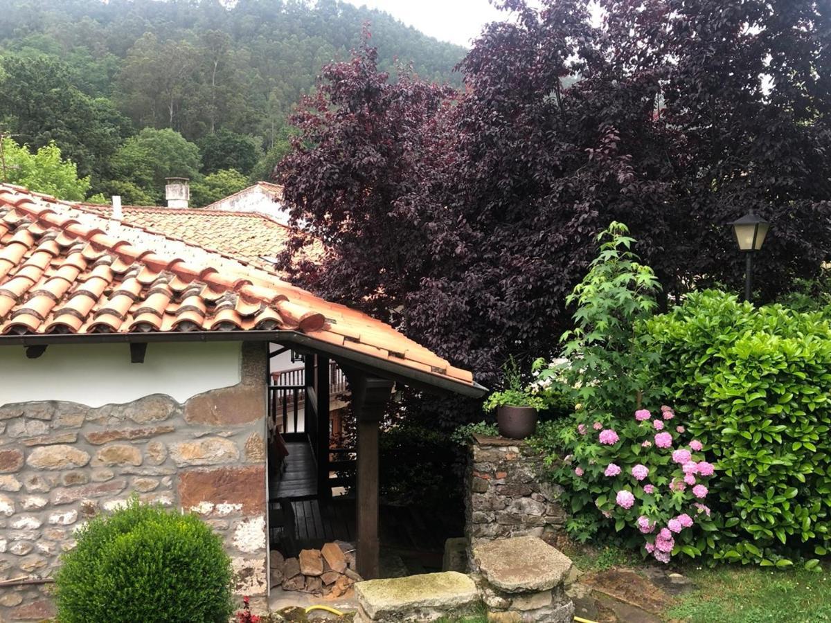 Hdec Hosteria De Castaneda Alojamiento Turistico ปวนเตเวียสโก ภายนอก รูปภาพ
